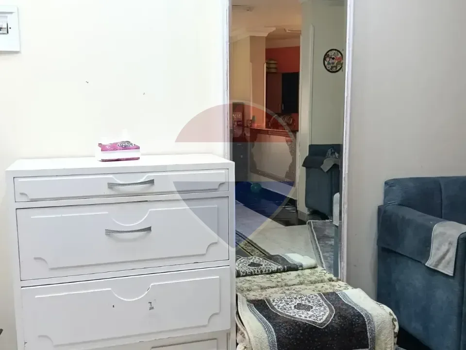 شقة