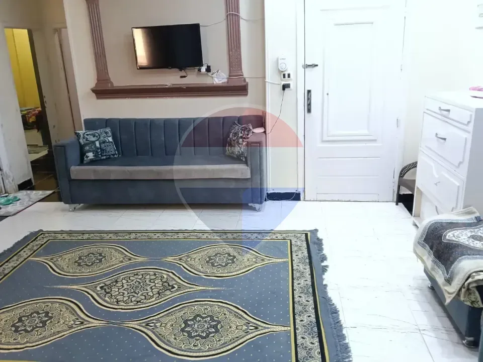 شقة