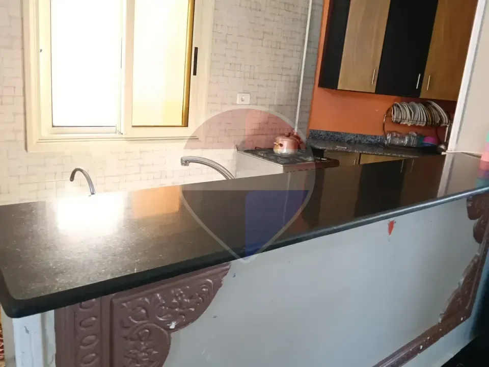 شقة