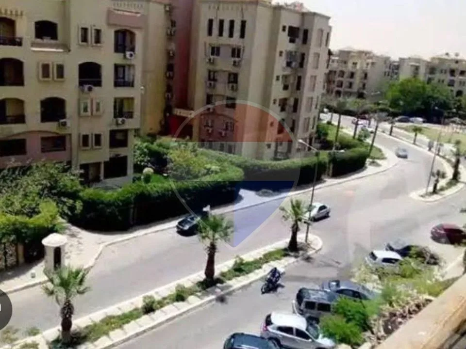 شقة
