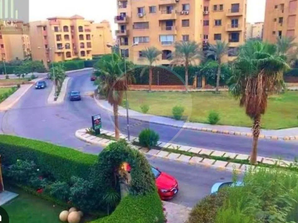 شقة