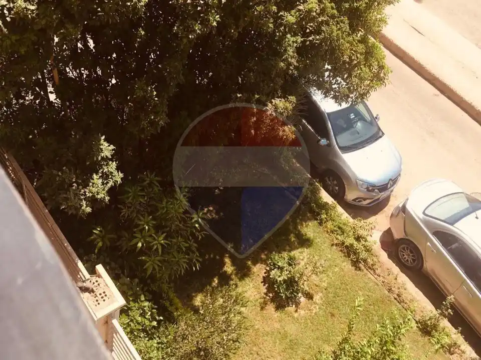 شقة