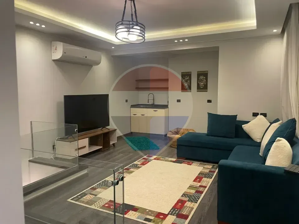 Duplex Garden in Eastown for rent