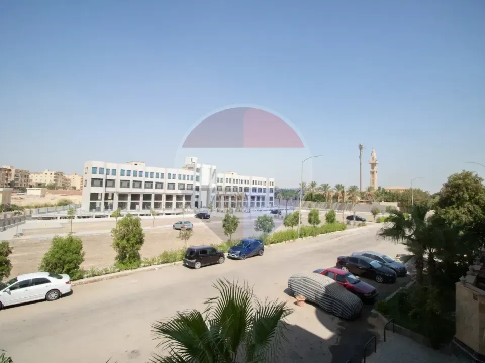 شقة
