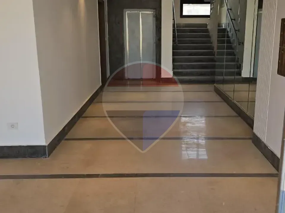 شقة