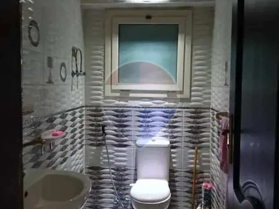 شقة