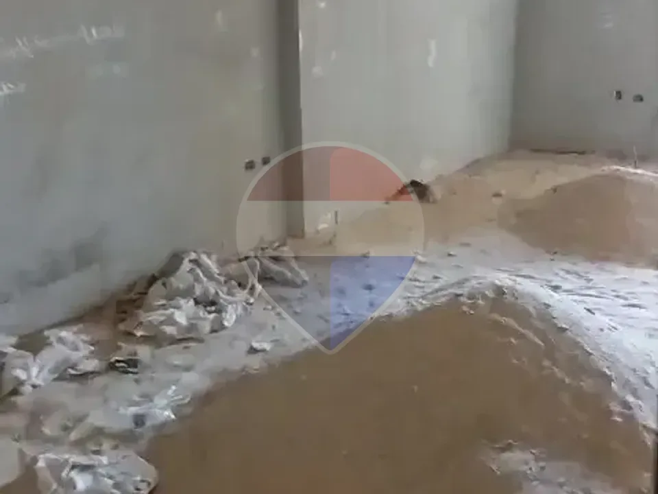شقة