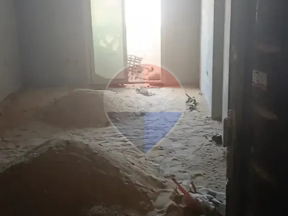شقة