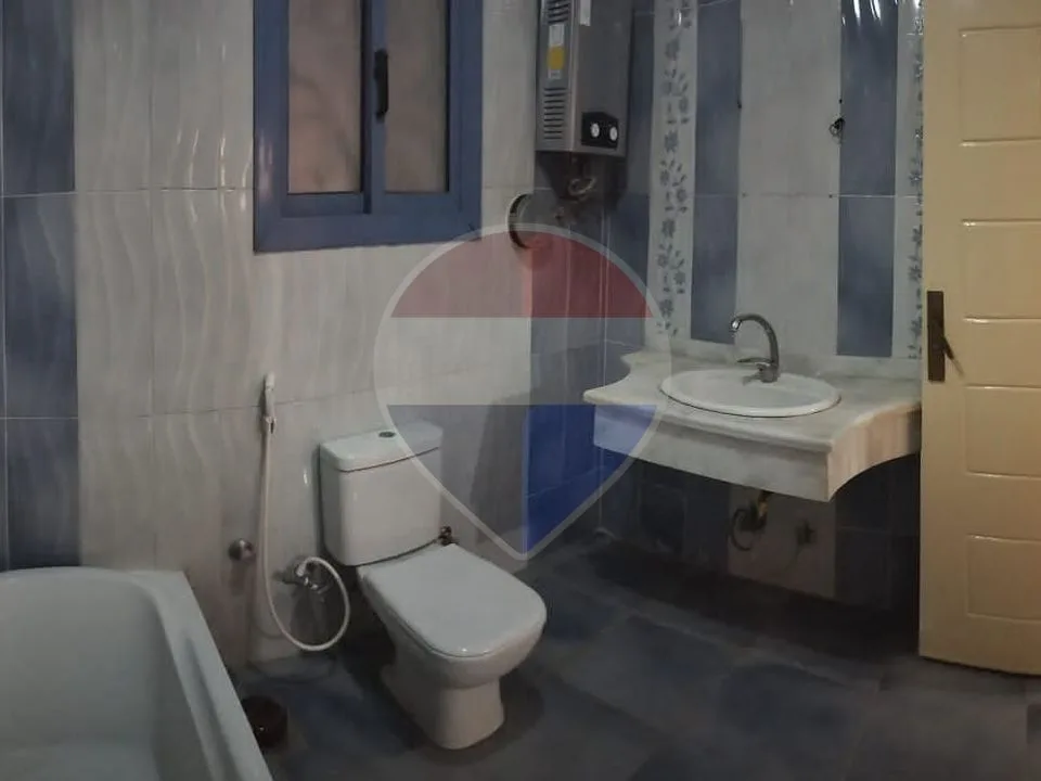 شقة
