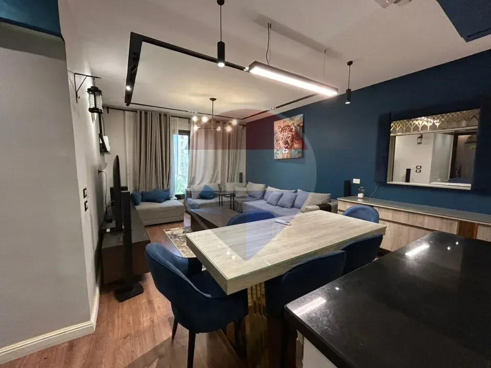 Luxury furnished apartment in The 7th district