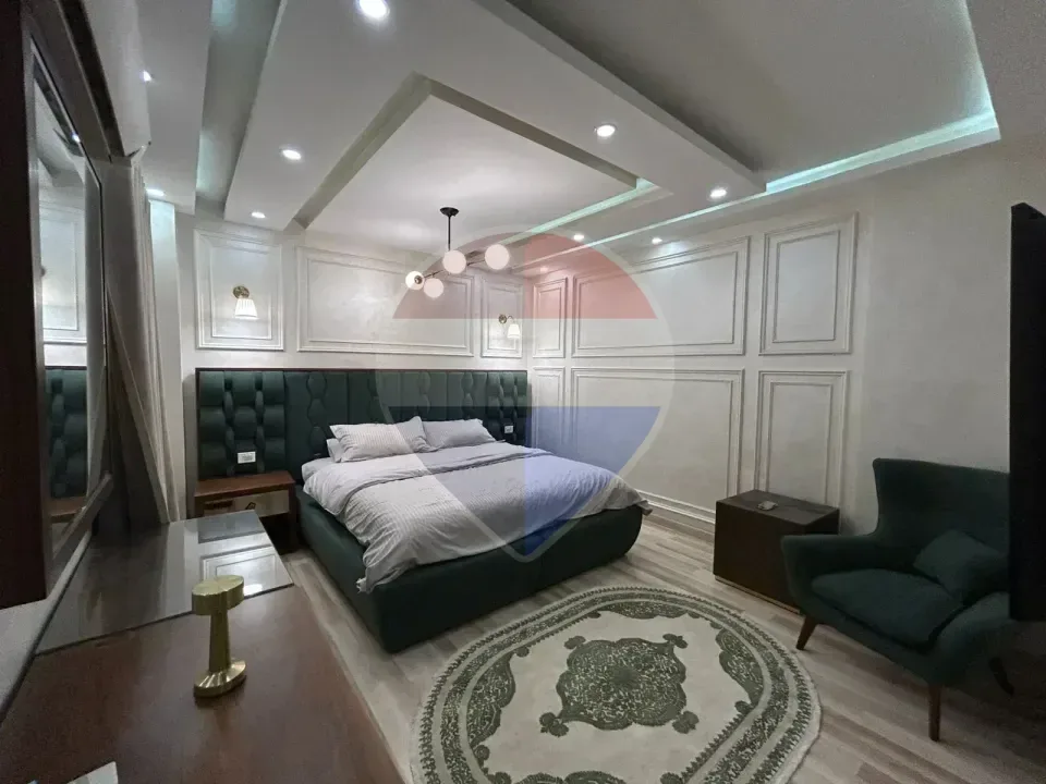 Luxury furnished apartment in The 7th district
