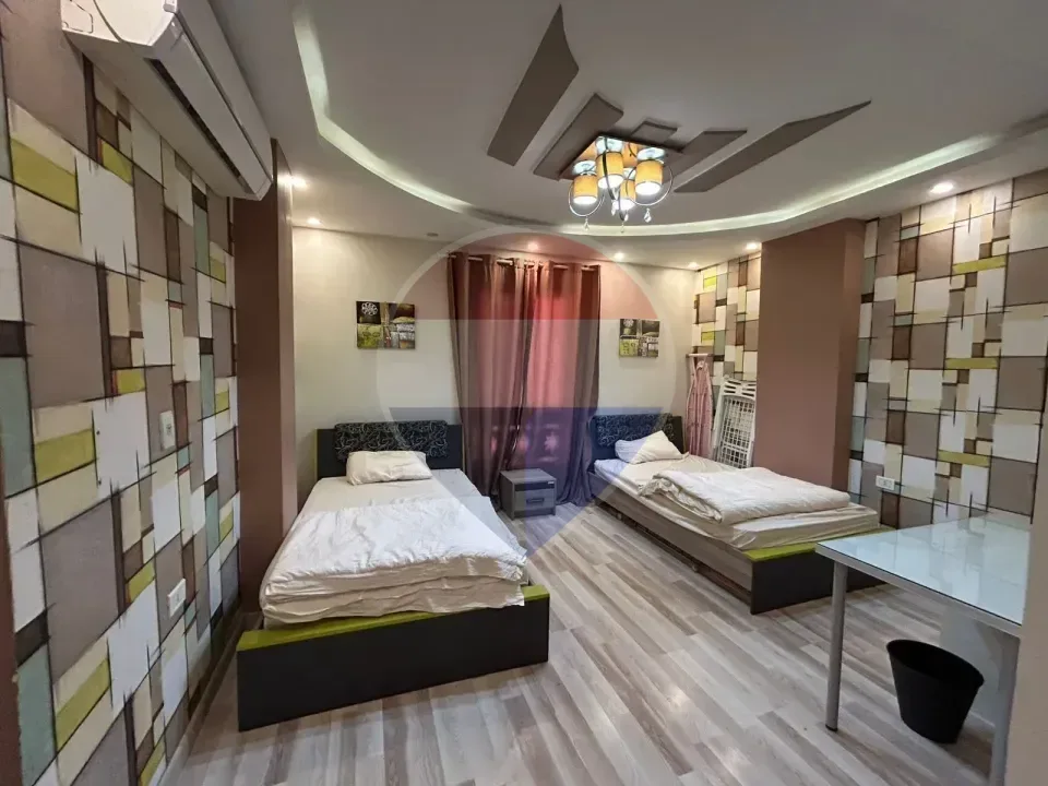 Luxury furnished apartment in The 7th district