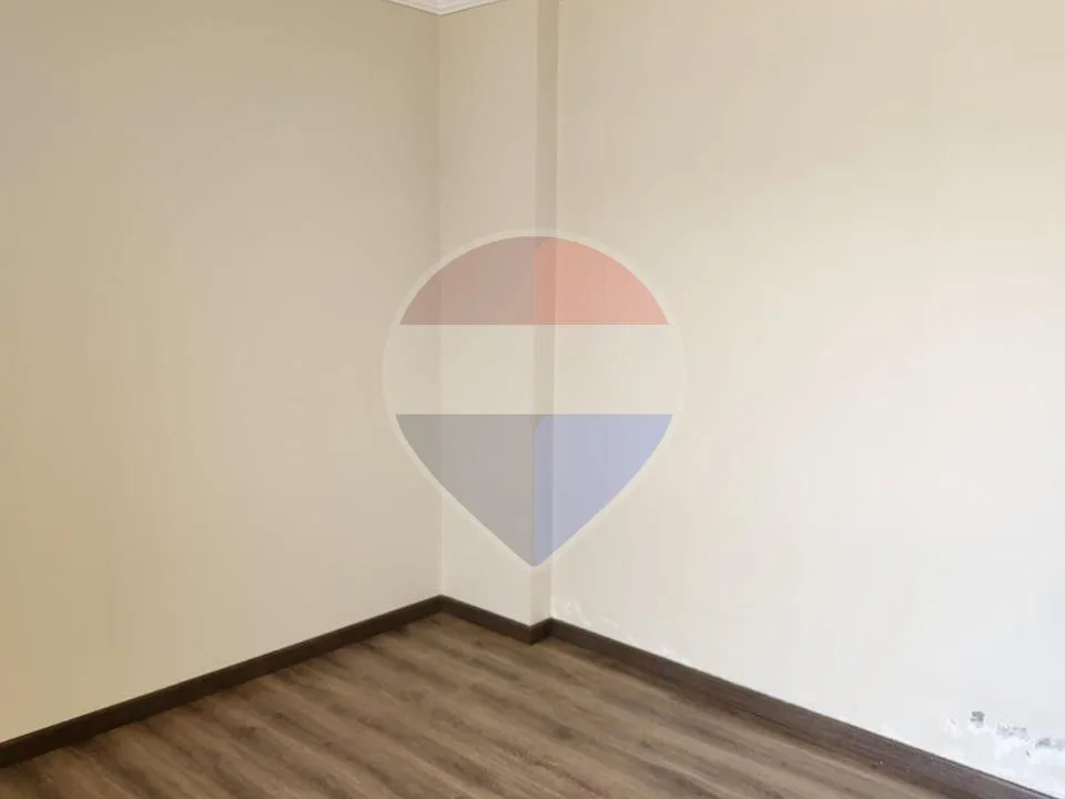شقة