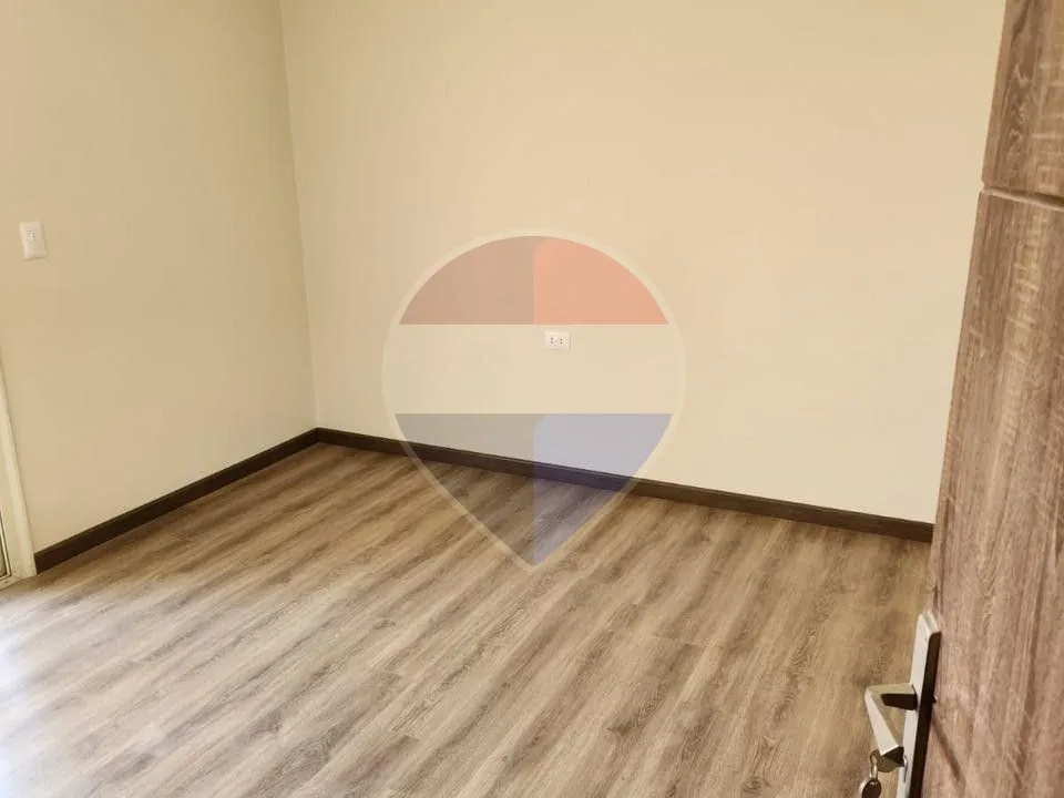 شقة