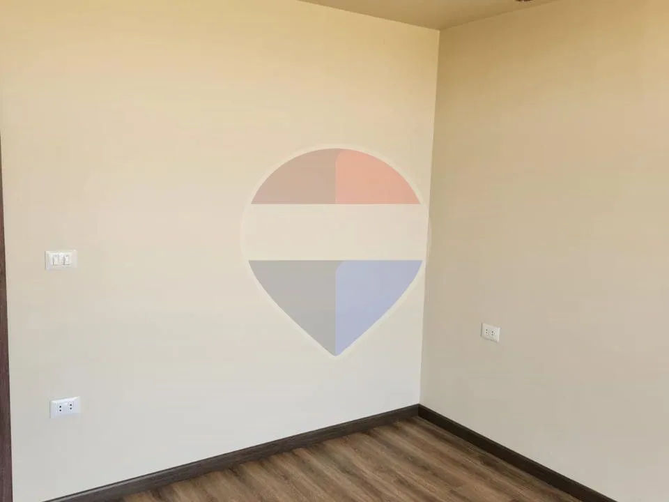 شقة