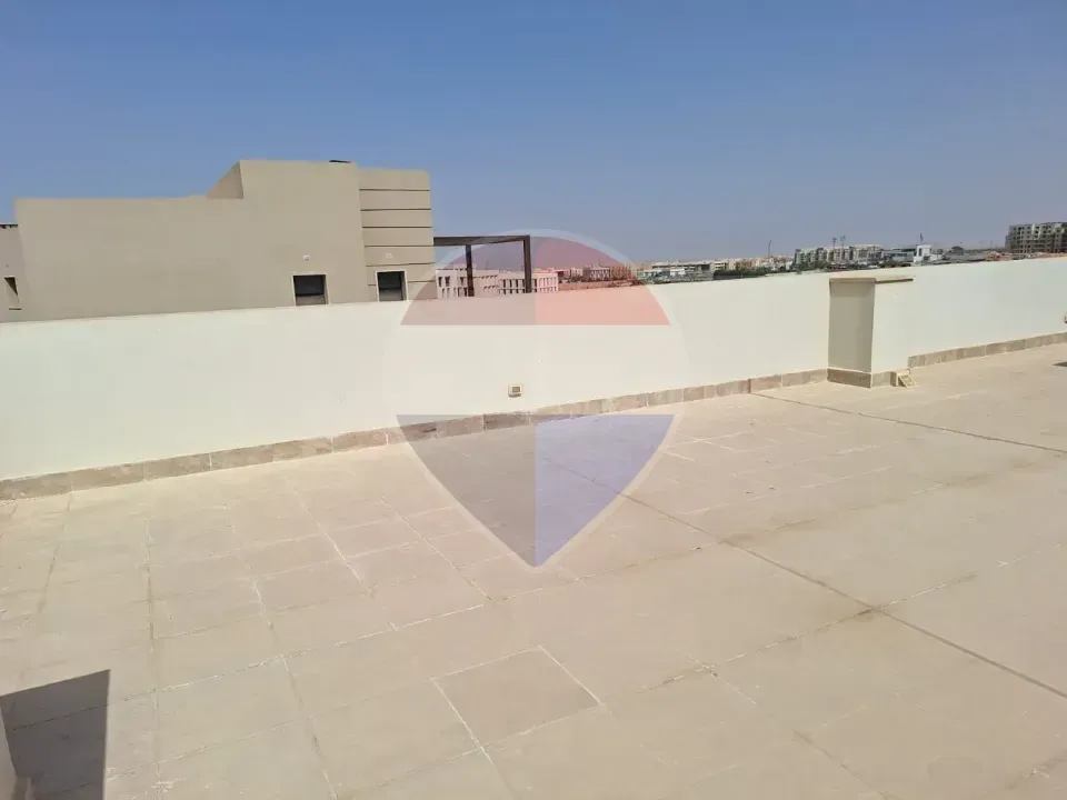 شقة