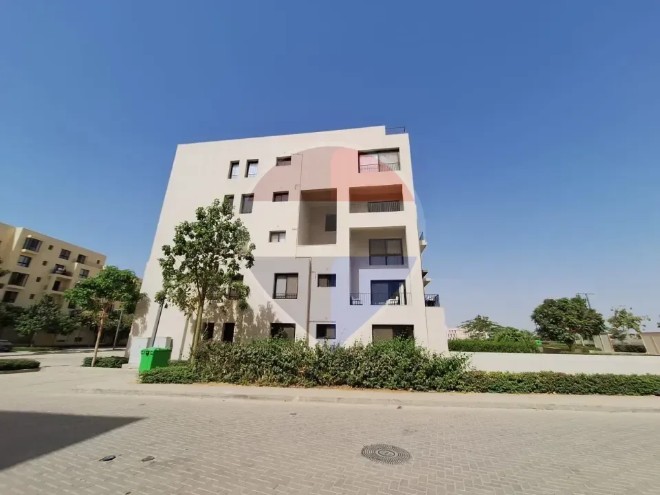 شقة