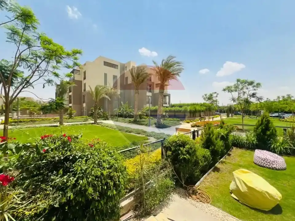 Ground Floor Apartment for Rent in Palm Parks Extension