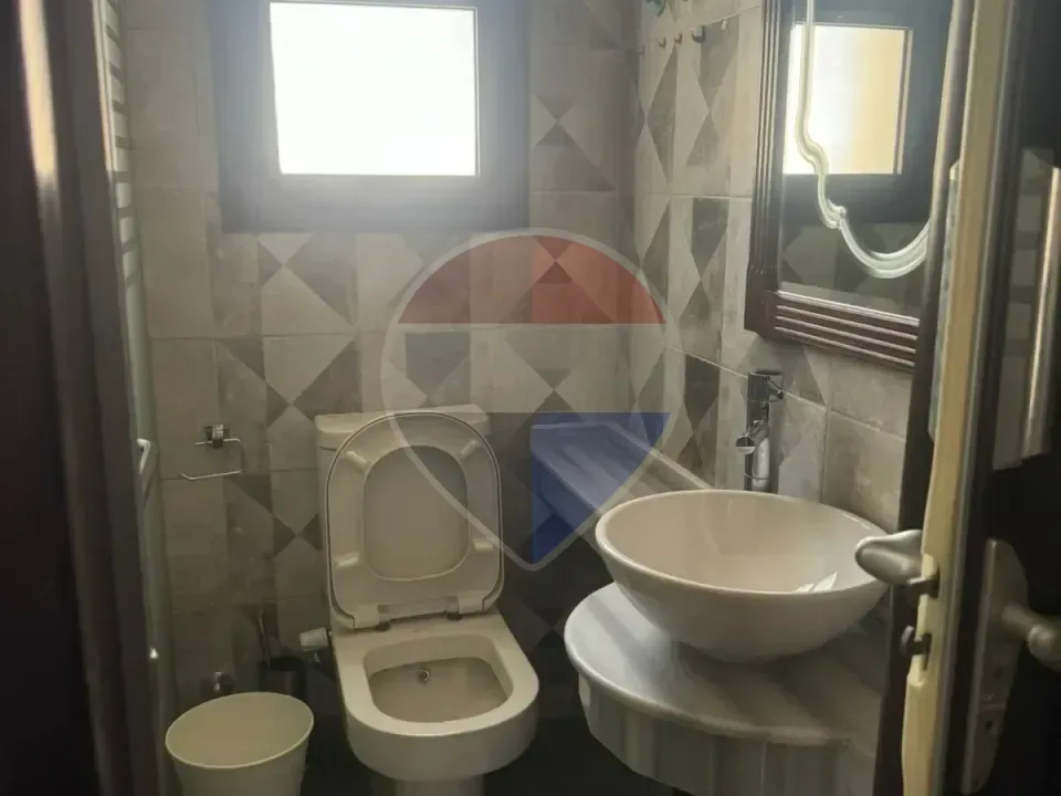 شقة