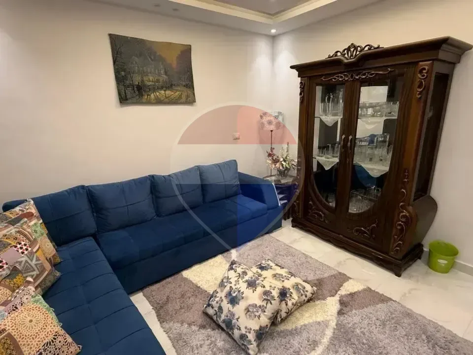Fully Furnished Apartment for Rent in Al Khamayel