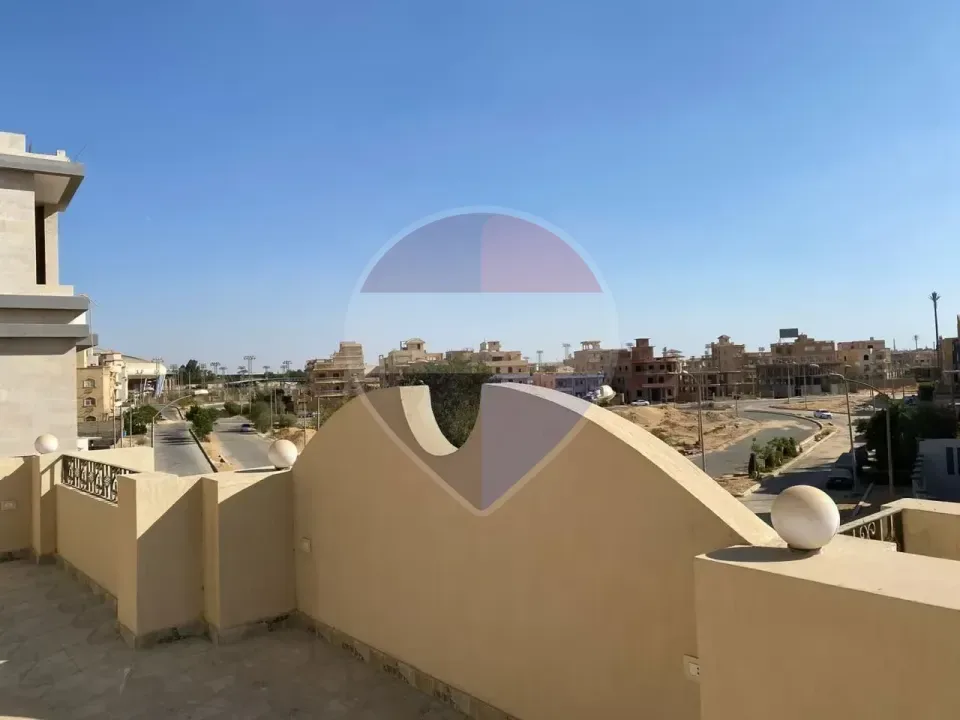 شقة