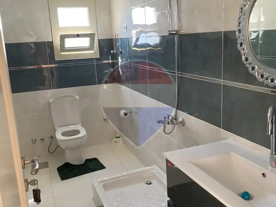 شقة