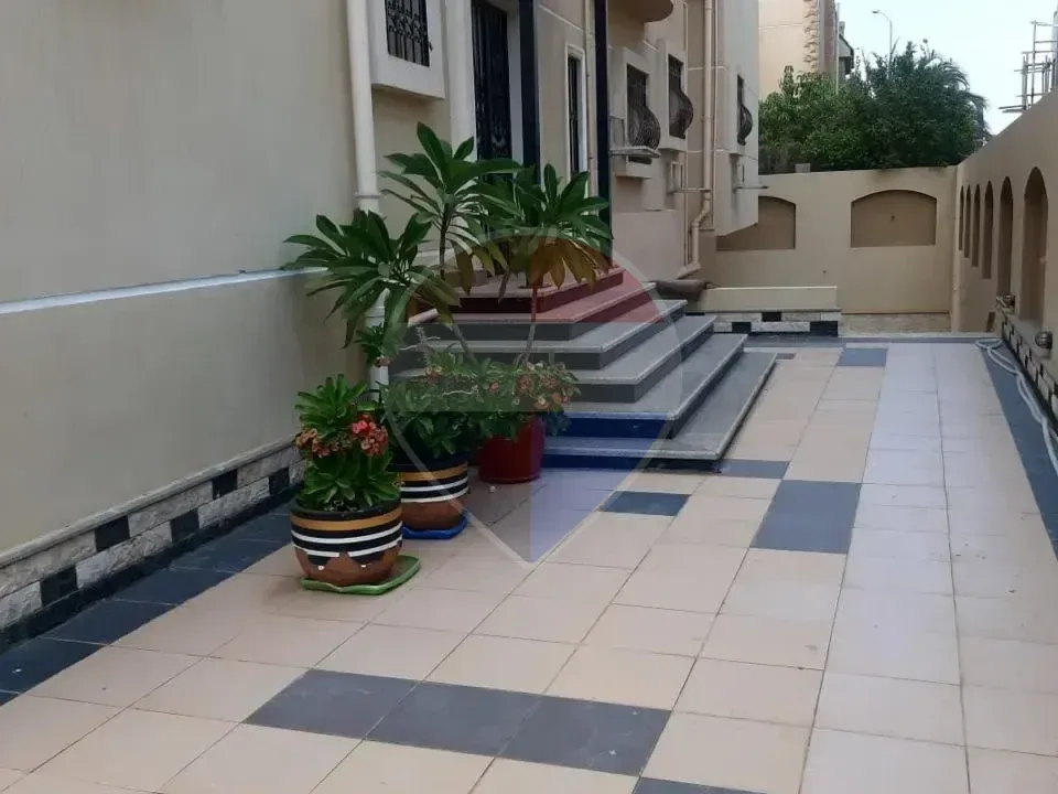 شقة