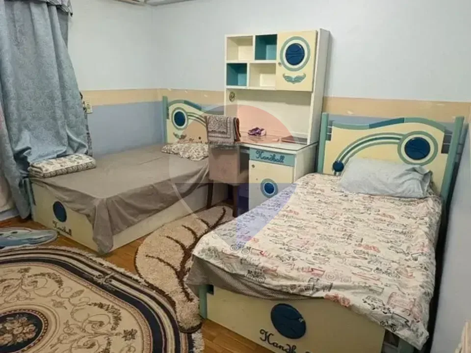 شقة