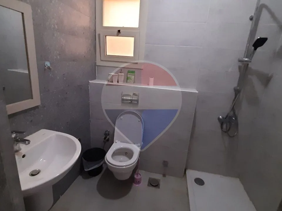 شقة