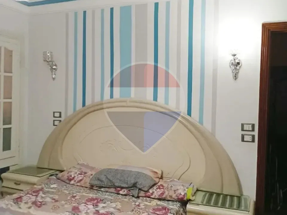 شقة