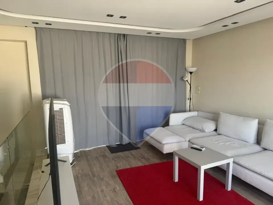 Penthouse for Rent in Mountain View Chillout – Fully Furnished