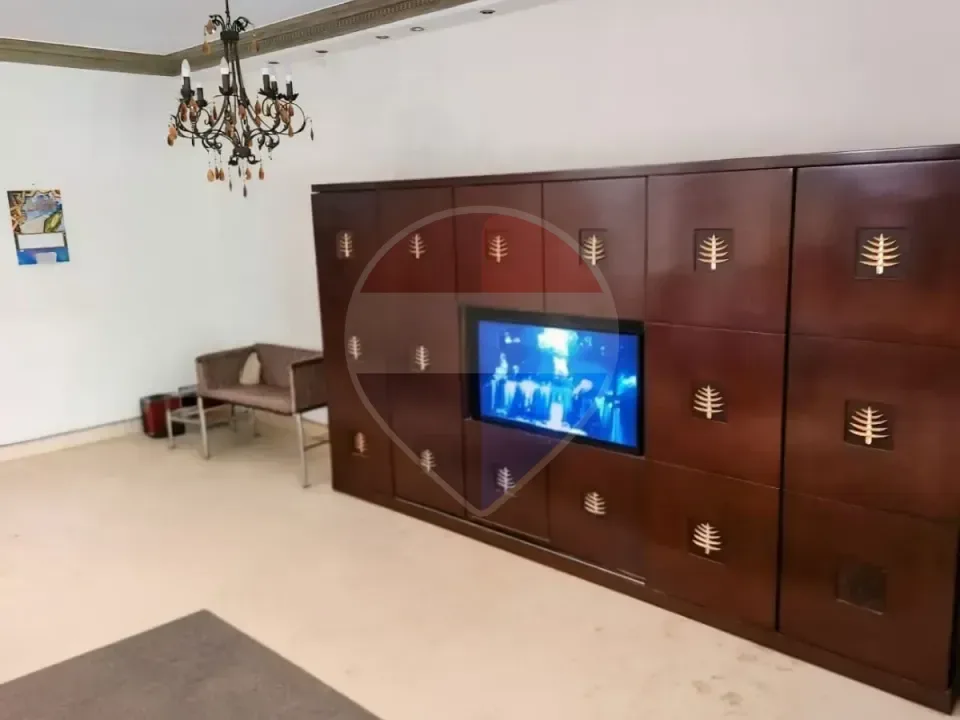 شقة