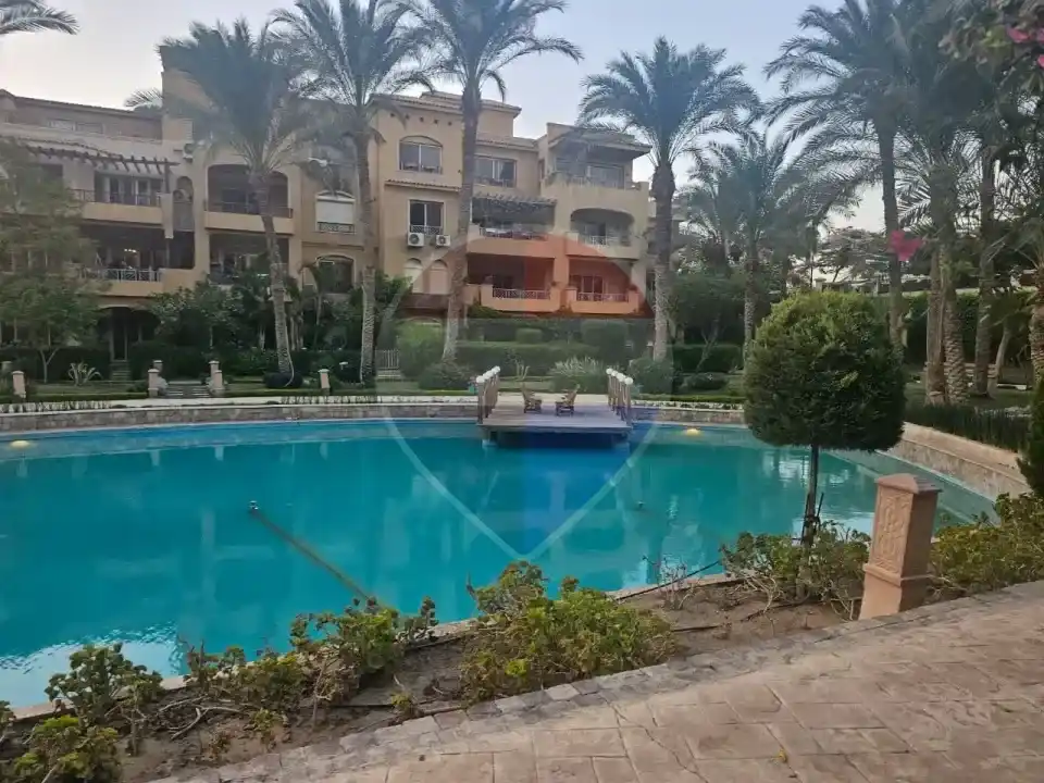 شقة