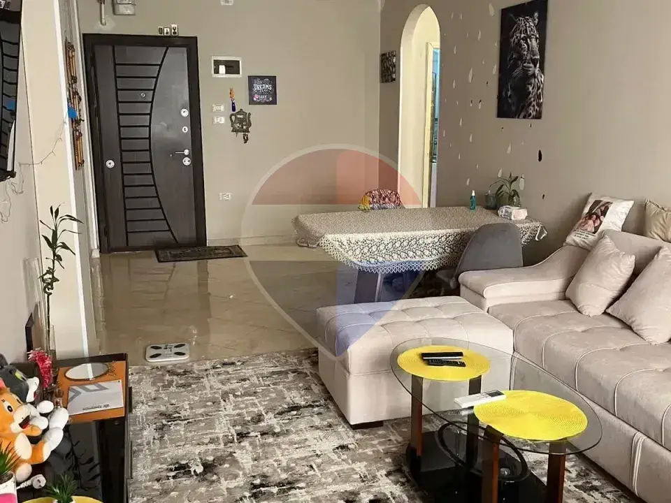 شقة