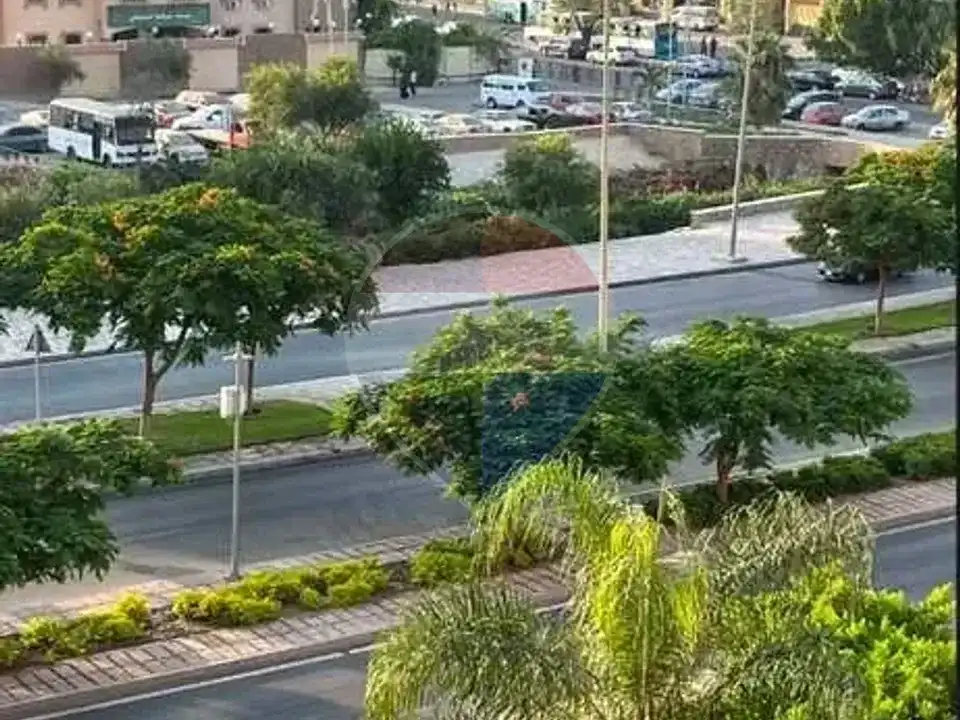 شقة