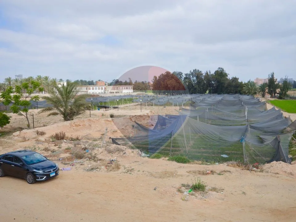 18,000 sqm farm, King Mariout