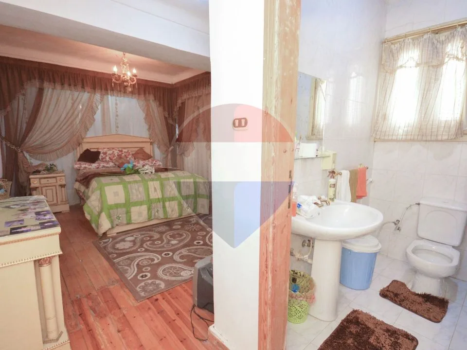 18,000 sqm farm, King Mariout