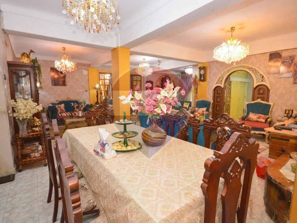 18,000 sqm farm, King Mariout