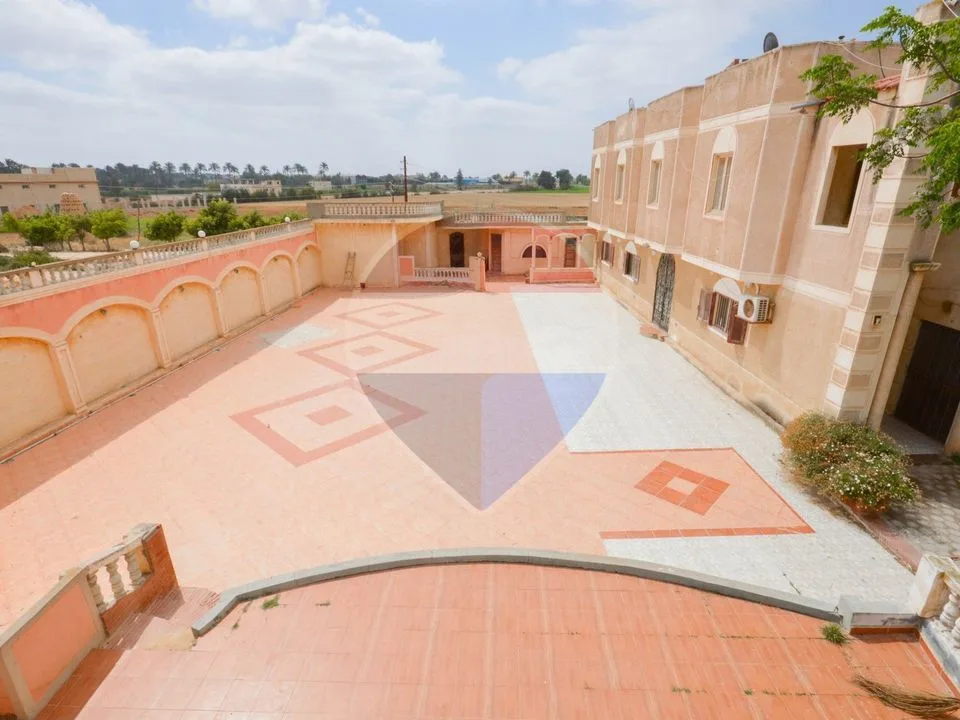 18,000 sqm farm, King Mariout