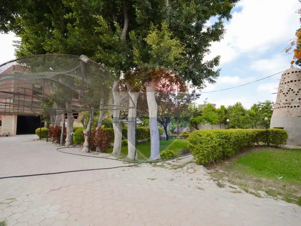 18,000 sqm farm, King Mariout
