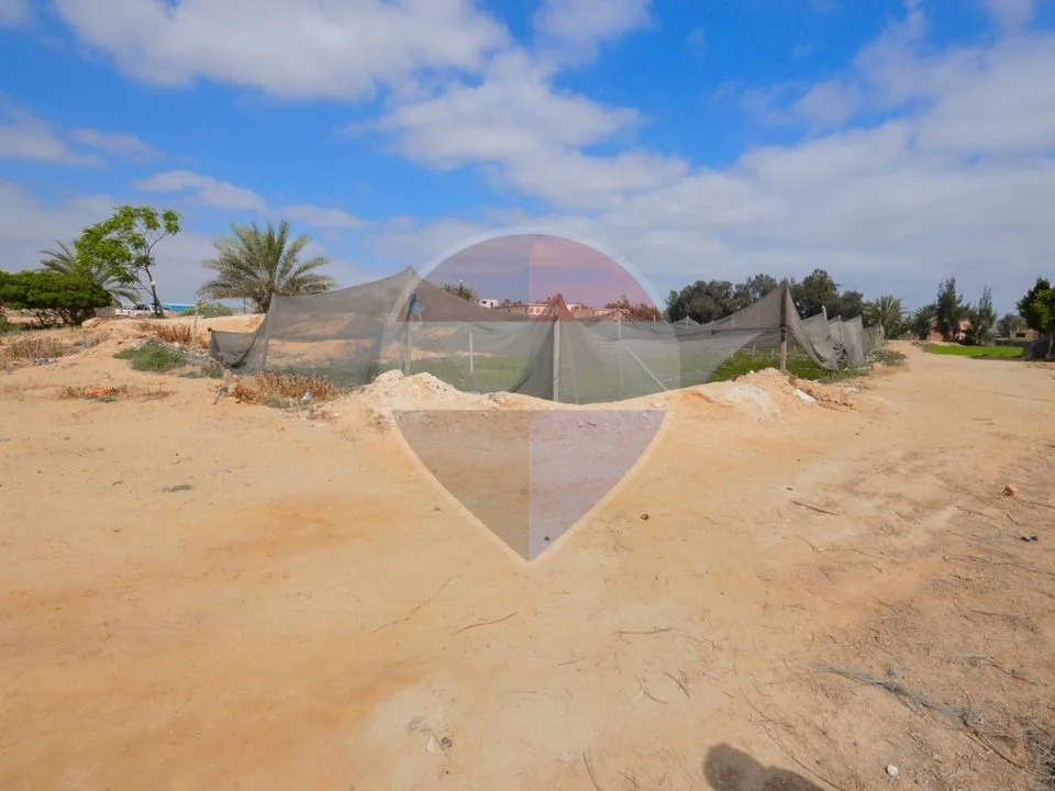 18,000 sqm farm, King Mariout