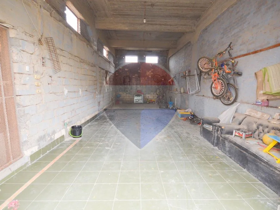 18,000 sqm farm, King Mariout