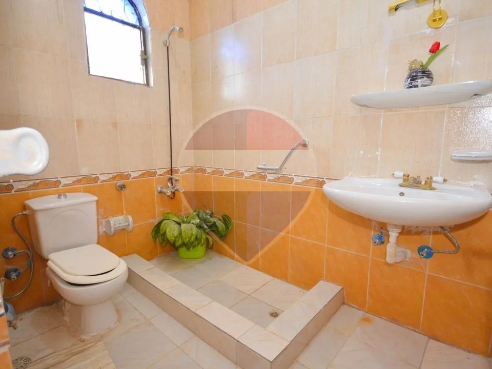 18,000 sqm farm, King Mariout