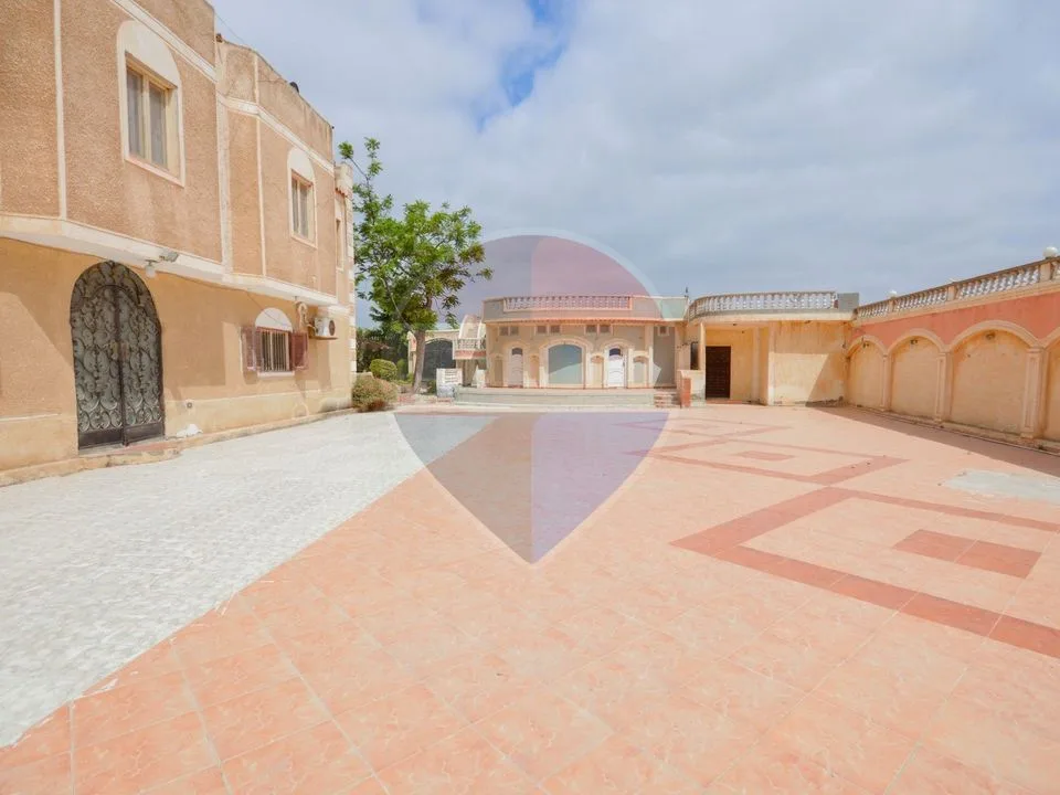 18,000 sqm farm, King Mariout