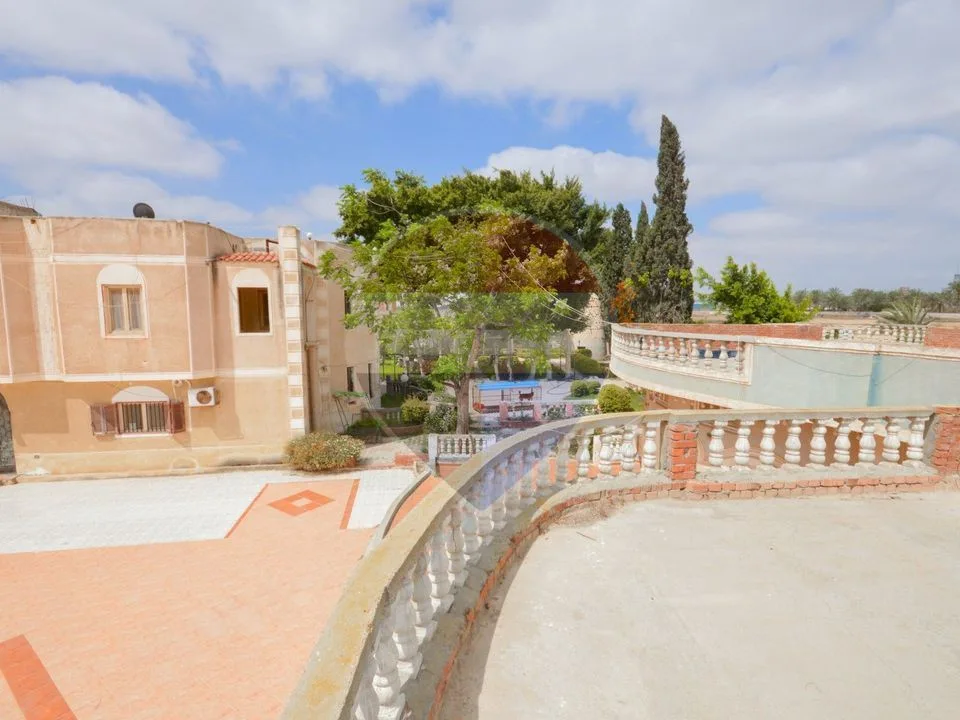 18,000 sqm farm, King Mariout