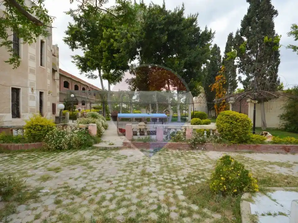 18,000 sqm farm, King Mariout