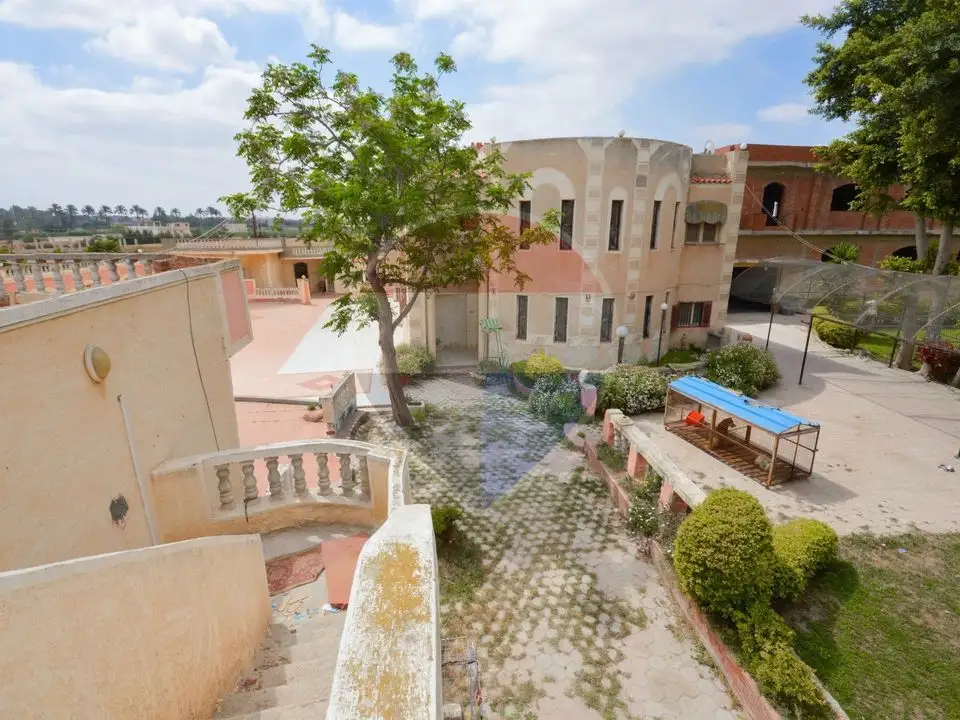 18,000 sqm farm, King Mariout