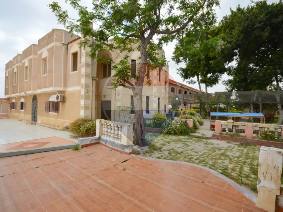 18,000 sqm farm, King Mariout