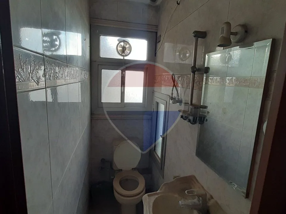 شقة