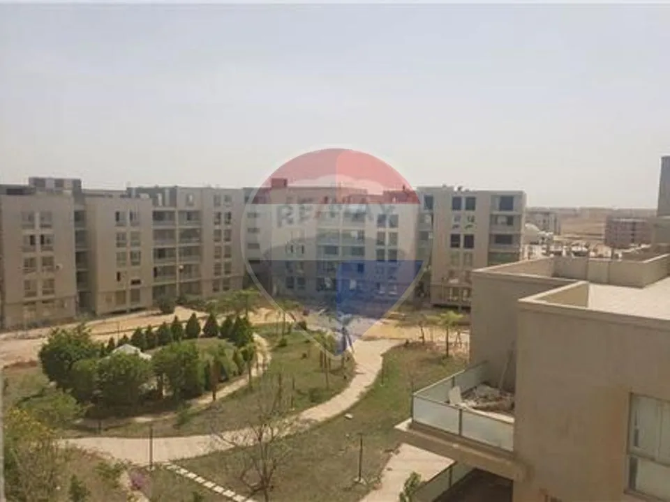 شقة